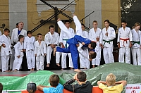 ukazky 2012__24.JPG